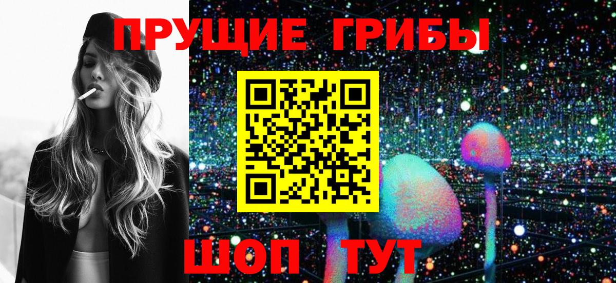 Псилоцибиновые грибы мухоморы  Галлюциногенные грибы Psilocybe  Вход с VPN  Сальск 